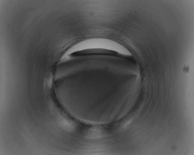 X0000091890076200710031811