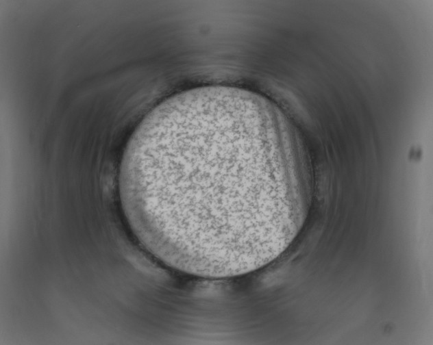 X0000091890077200710031811