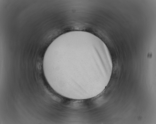 X0000091890078200710031811