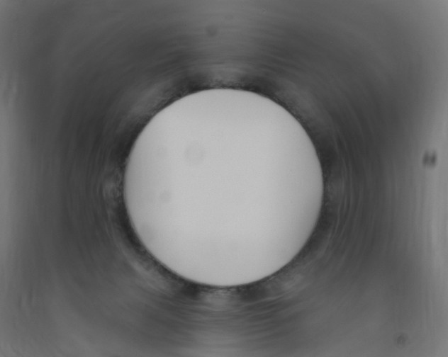X0000091890079200710031811
