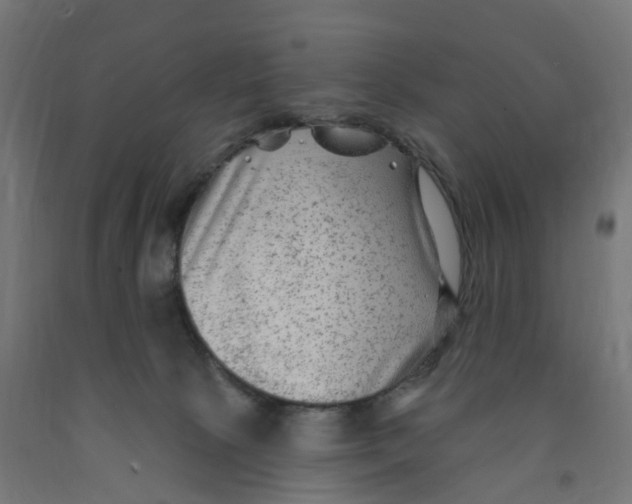 X0000091890081200710031811