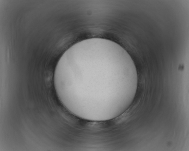 X0000091890082200710031811