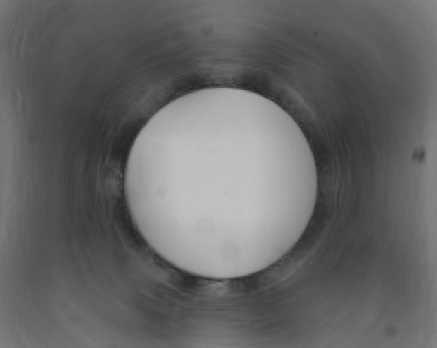 X0000091890083200710031811