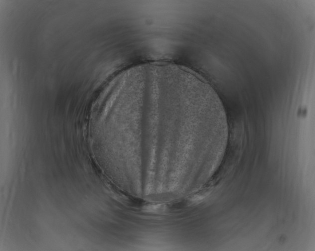 X0000091890084200710031811