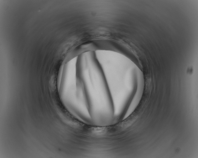X0000091890088200710031811
