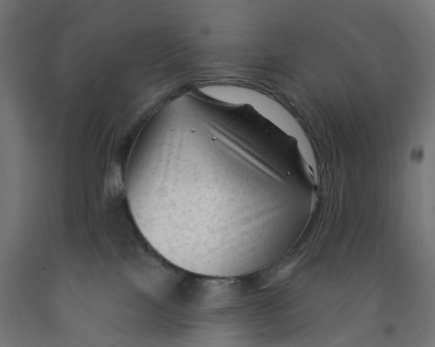 X0000091890089200710031811