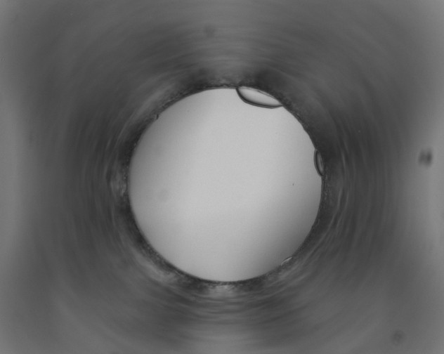X0000091890091200710031811