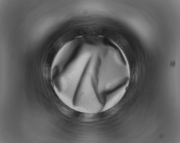 X0000091890093200710031811