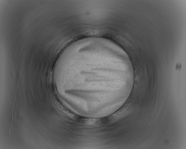 X0000091890096200710031811