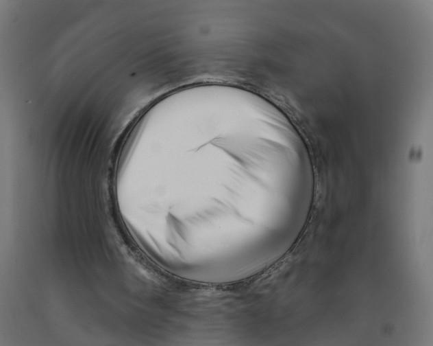 X0000091890098200710031810
