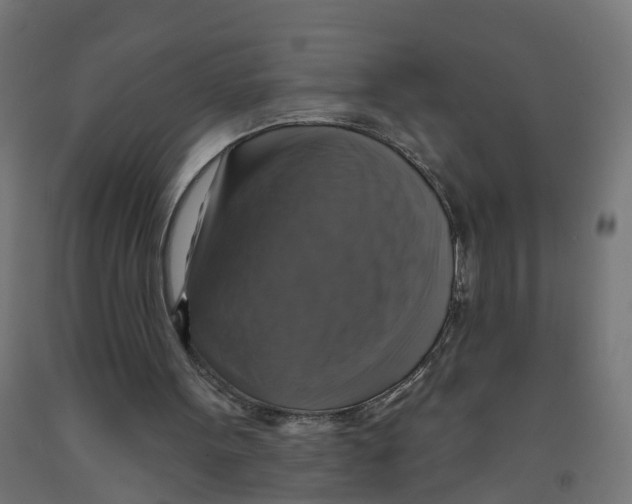 X0000091890099200710031810