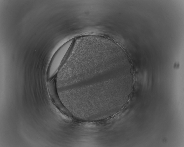 X0000091890100200710031810