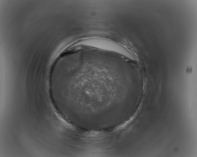 X0000091890101200710031810