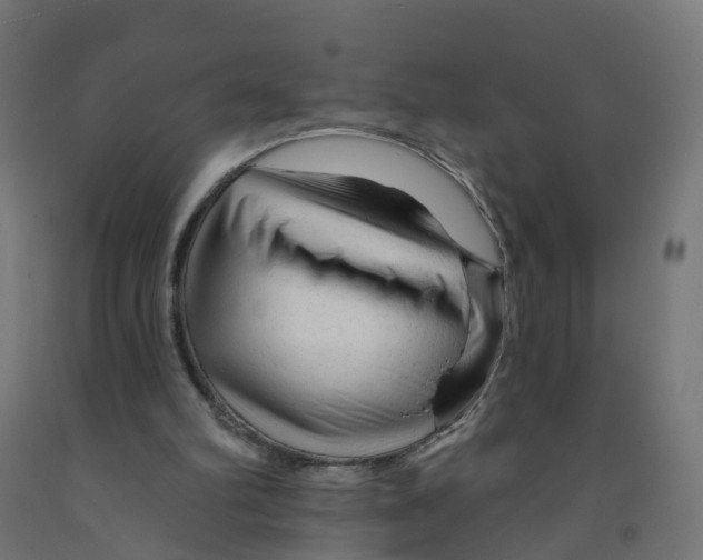 X0000091890102200710031810