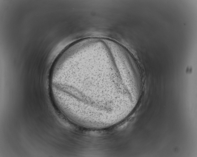 X0000091890103200710031810