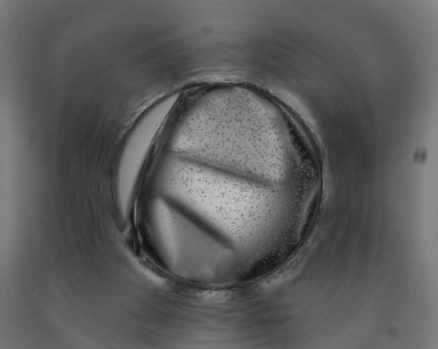 X0000091890105200710031810