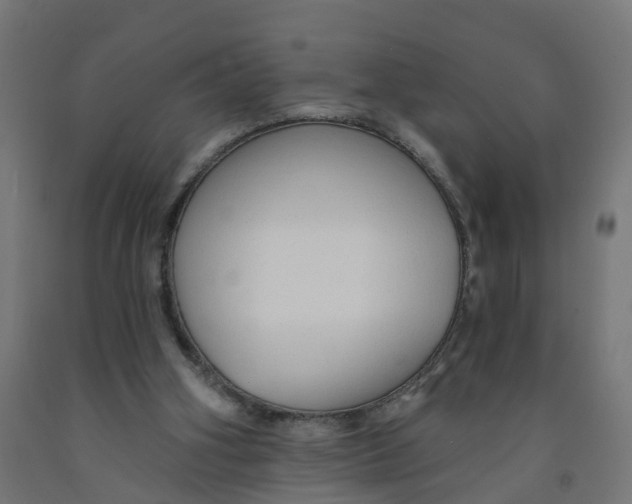X0000091890106200710031810