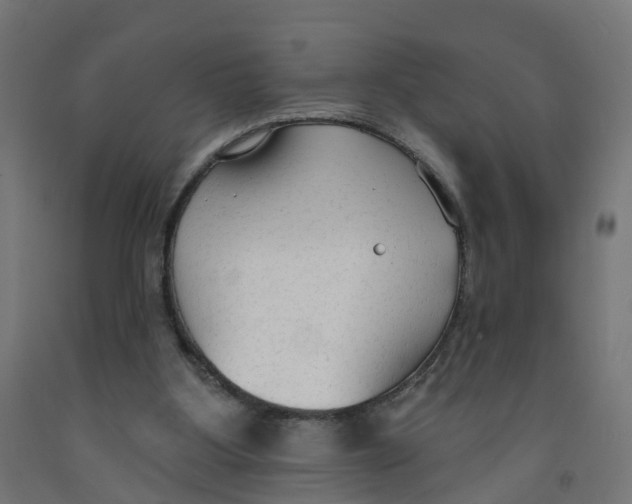 X0000091890107200710031810