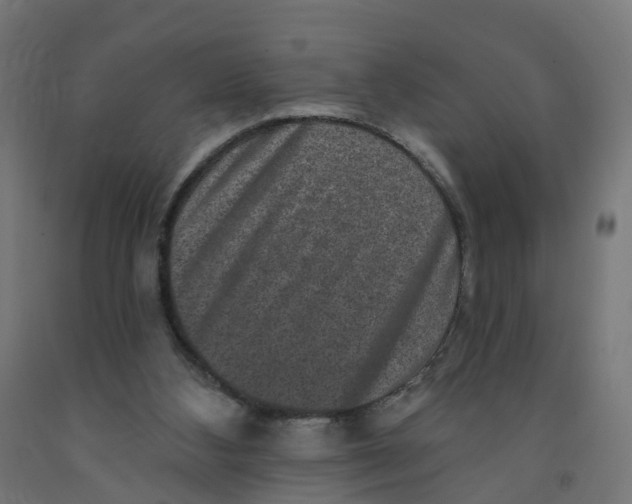 X0000091890108200710031810