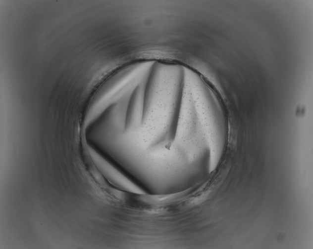X0000091890109200710031810