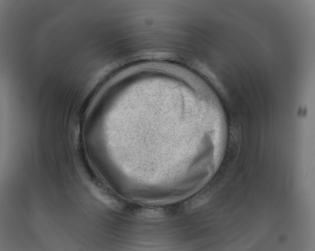 X0000091890110200710031810