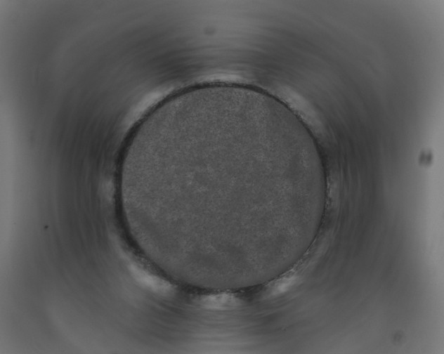 X0000091890112200710031810