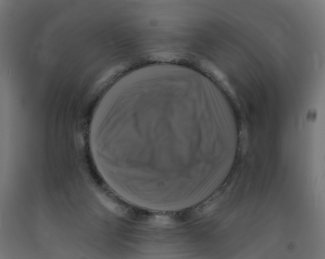 X0000091890114200710031810