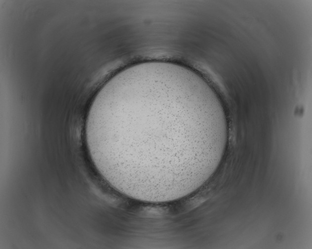 X0000091890115200710031810