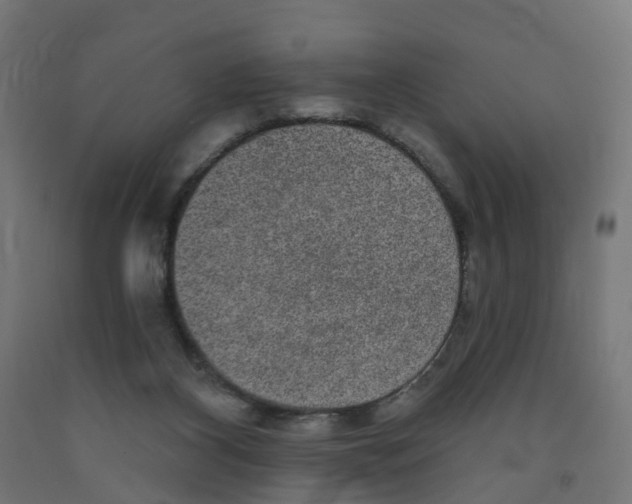 X0000091890116200710031810