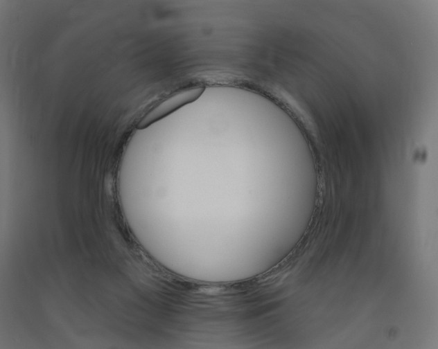 X0000091890117200710031810
