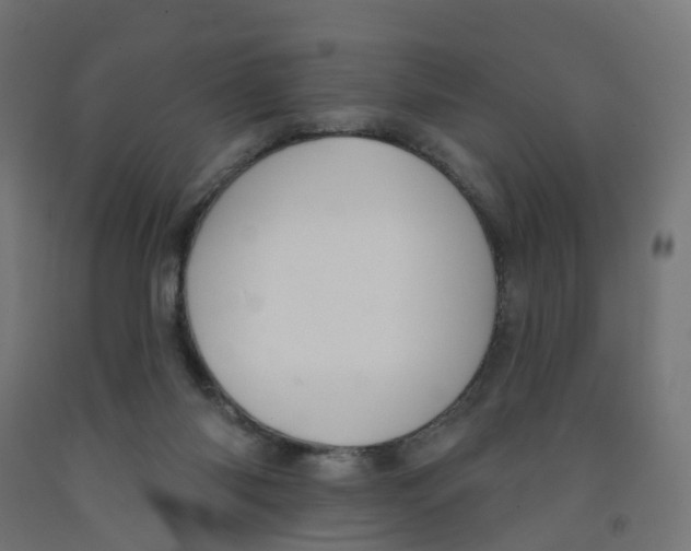 X0000091890118200710031810