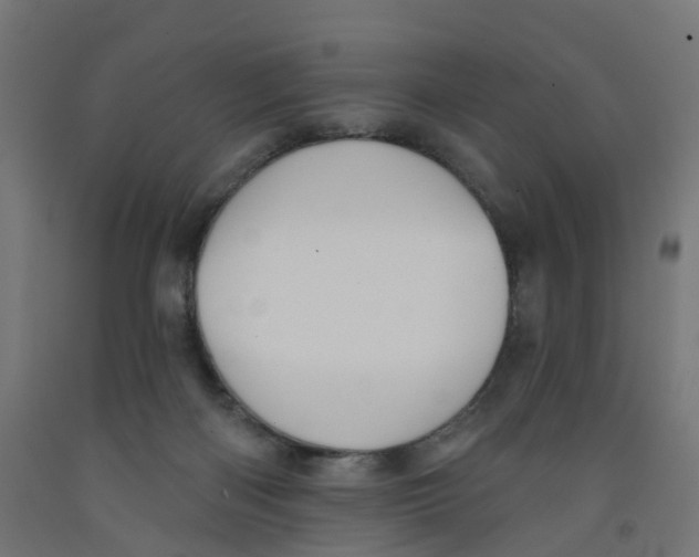 X0000091890122200710031810