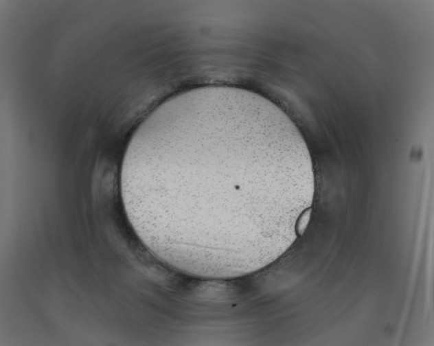 X0000091890123200710031810