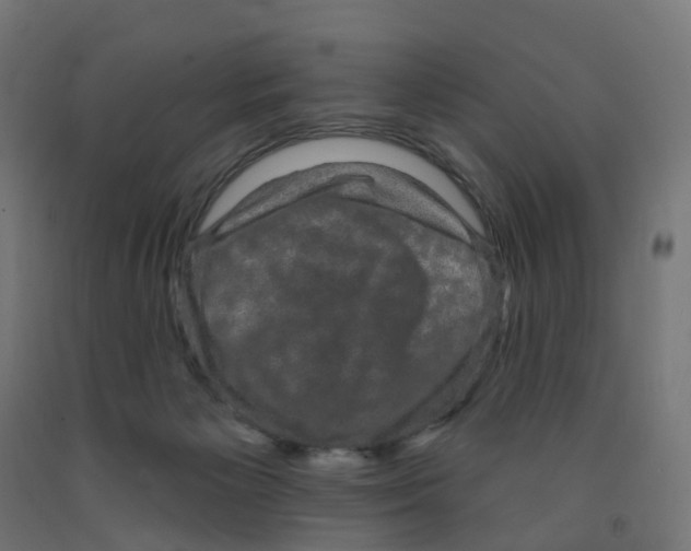 X0000091890125200710031810