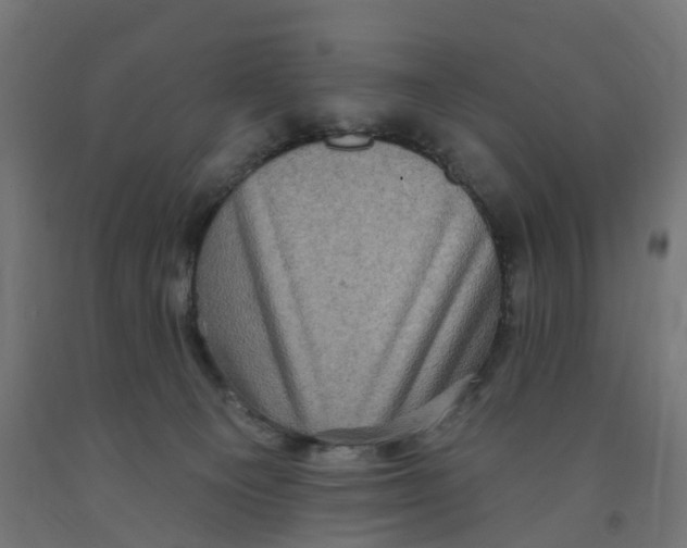 X0000091890129200710031810
