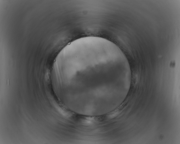 X0000091890130200710031810