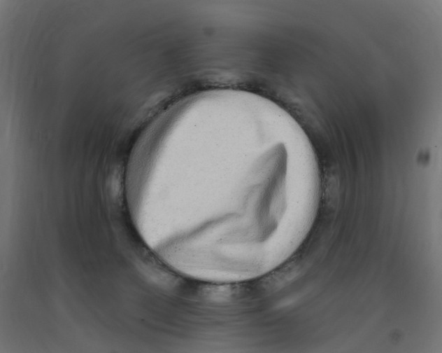 X0000091890131200710031810
