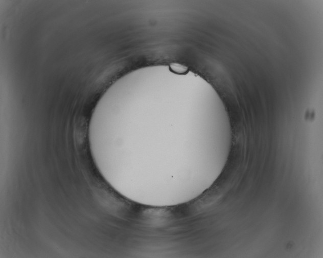 X0000091890133200710031810