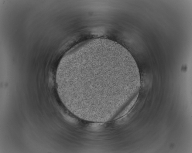 X0000091890136200710031810