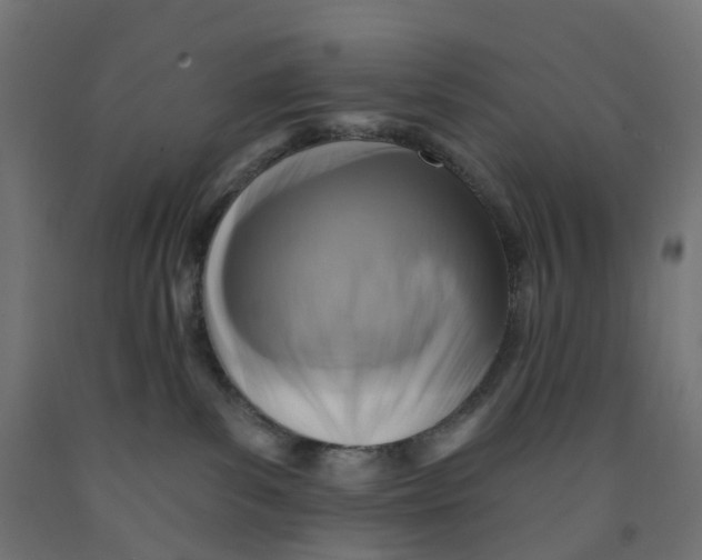 X0000091890139200710031810