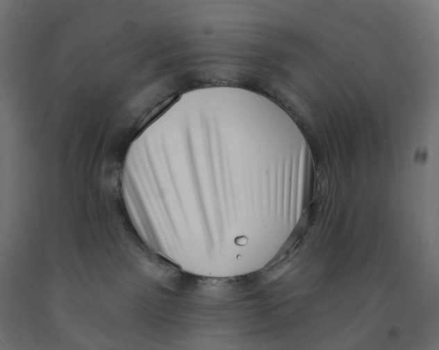 X0000091890141200710031810
