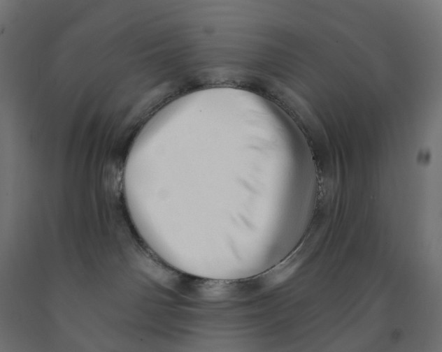 X0000091890142200710031810