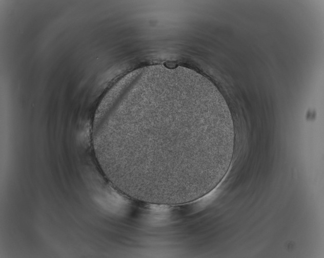 X0000091890144200710031810