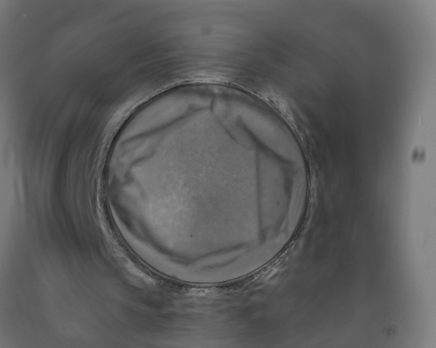 X0000091890145200710031809