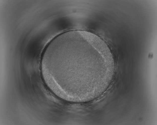 X0000091890146200710031809
