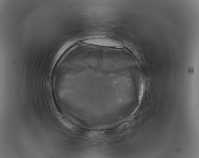 X0000091890147200710031809