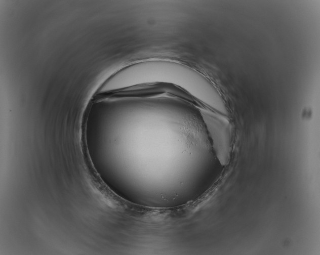 X0000091890148200710031809