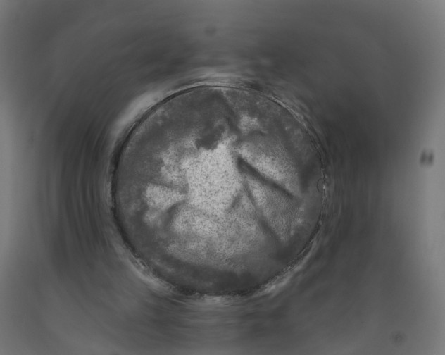 X0000091890149200710031809