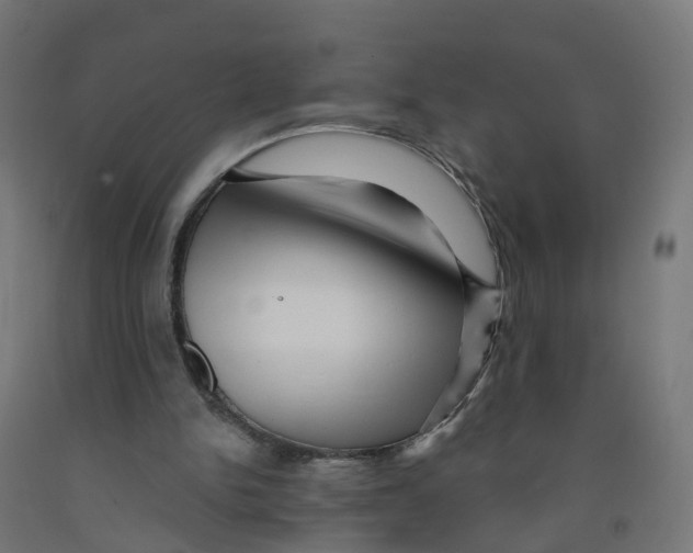 X0000091890150200710031809