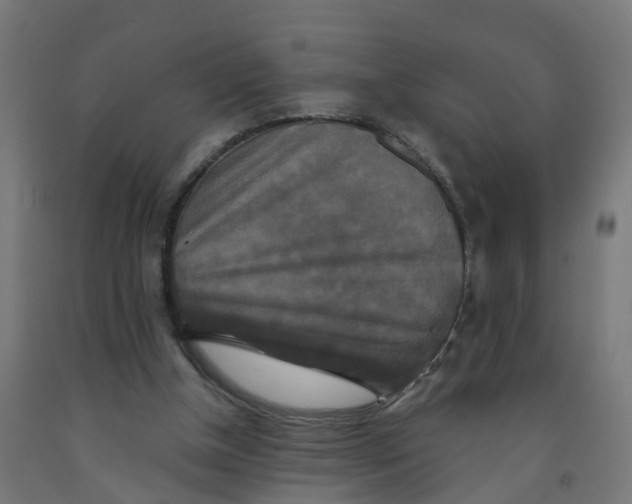 X0000091890154200710031809